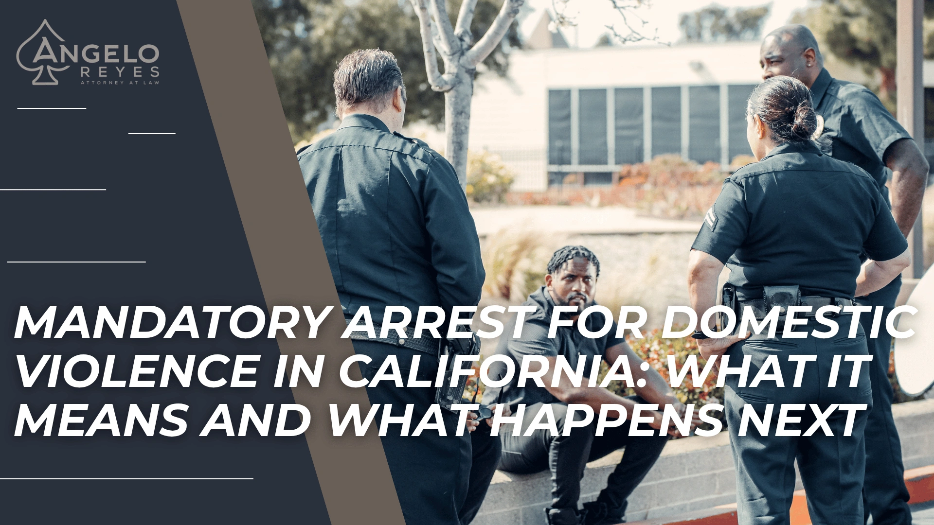 Police officers surrounding seated man introduce California domestic violence arrest procedures and outcomes.