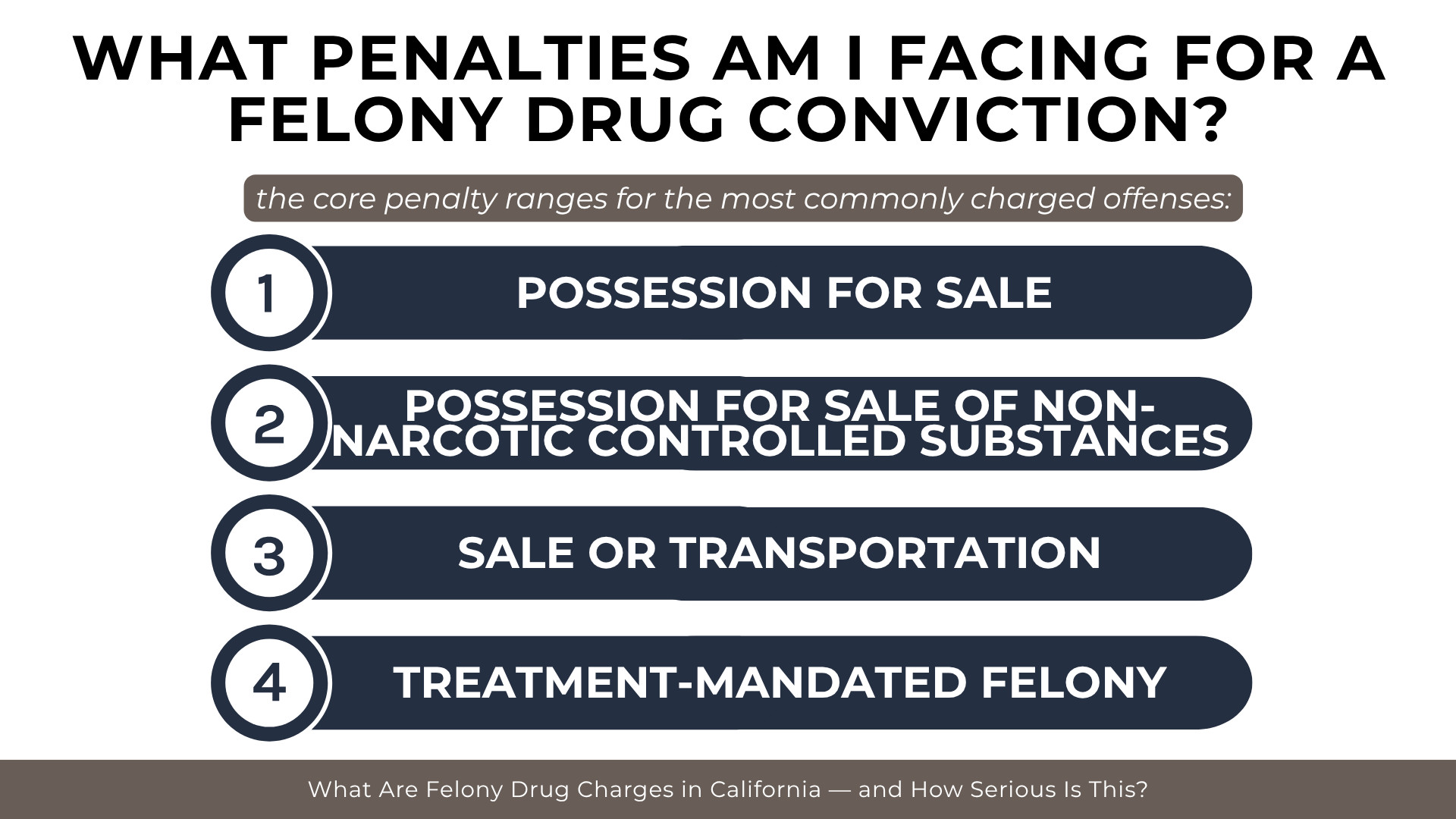 Numbered legal bars summarize penalties for possession, transportation, and felony drug treatment offenses