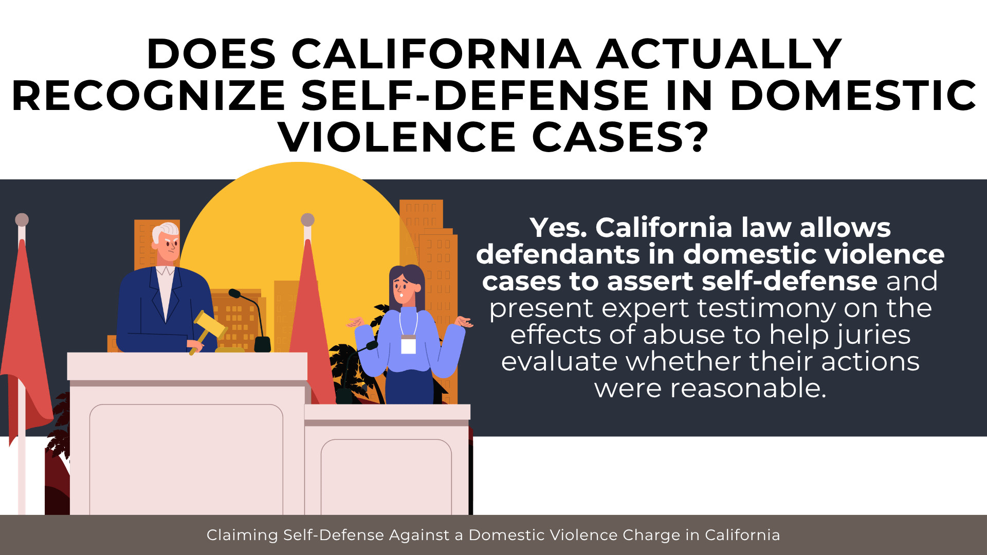 Courtroom illustration with judge and witness explaining self-defense rights and expert testimony.