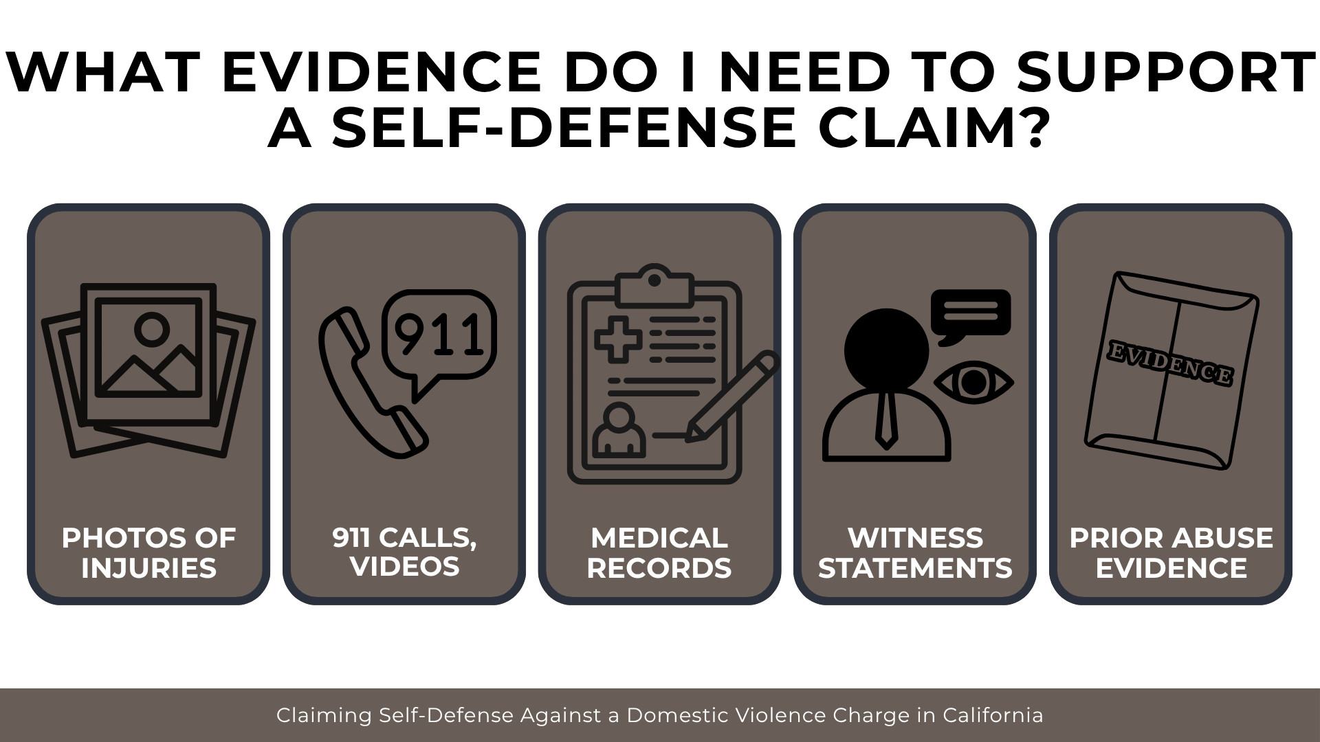 Evidence icons showing injury photos, 911 calls, medical records, witnesses, and abuse history.