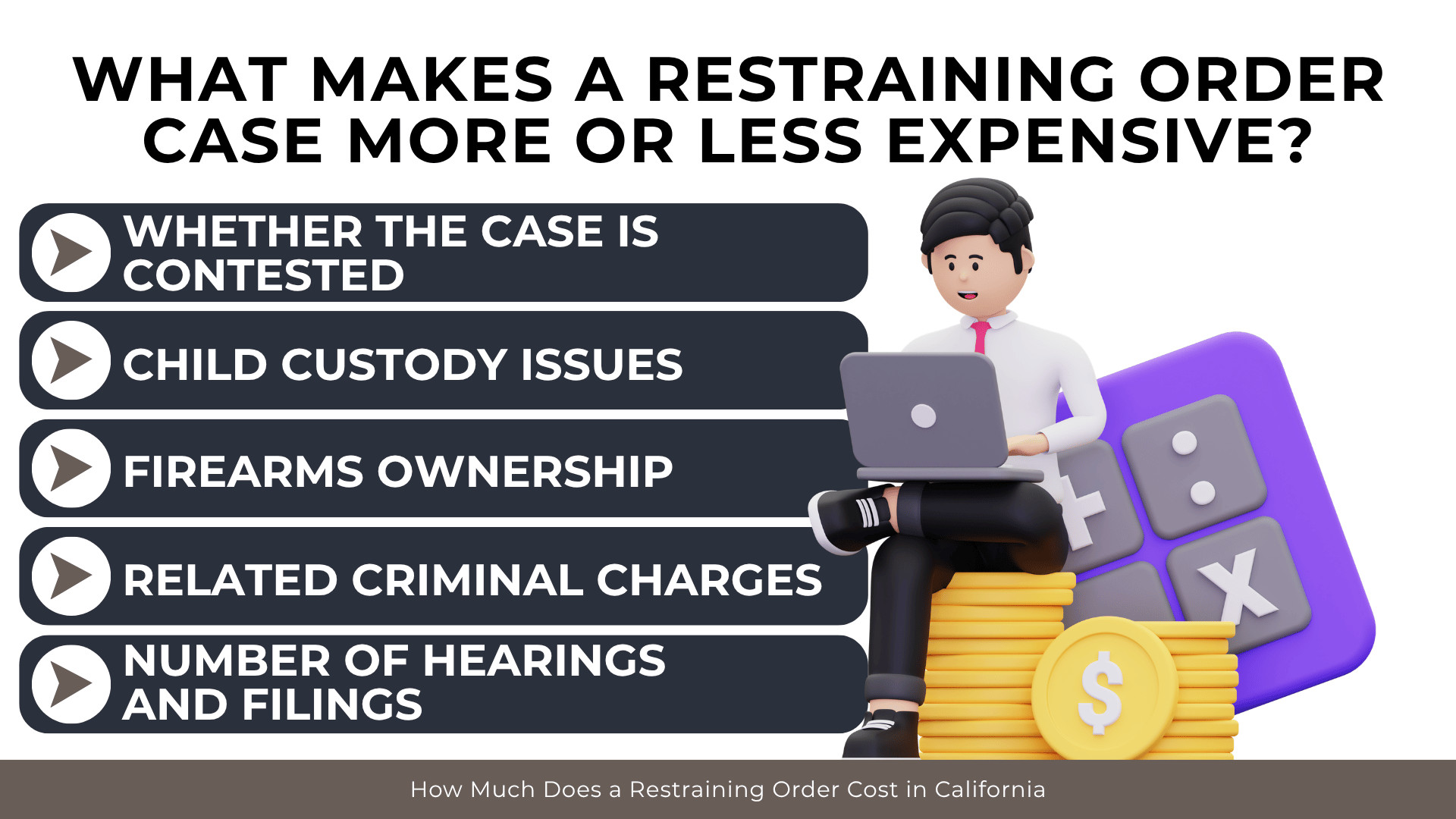 Professional with laptop beside cost factors including hearings, custody disputes, firearms, and criminal charges.